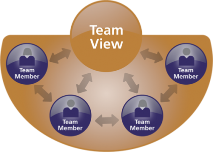 team-view Team Diagnostic Team View